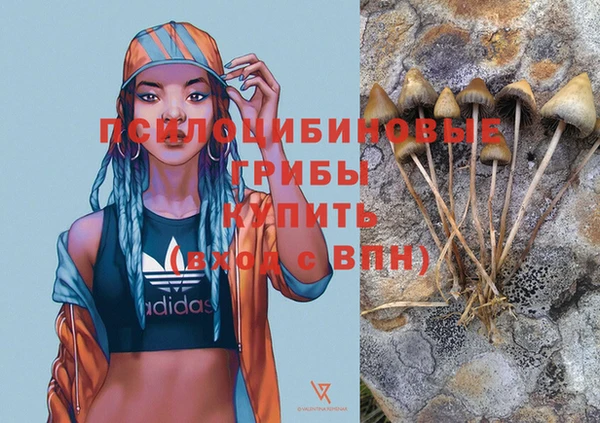 герыч Володарск