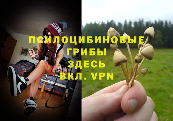 герыч Володарск